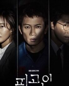 Review Drama Korea Innocent Defendant (2017)