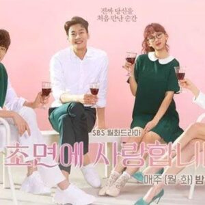 Review Drama Korea The Secret Life of My Secretary (2019)