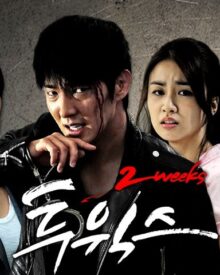 Review Drama Korea Two Weeks (2013)