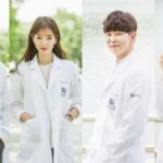 Review Drama Korea Doctors (2016)
