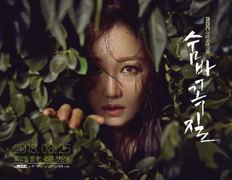 Sinopsis dan Review Drama Korea Hide and Seek (2018)