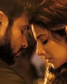 Sinopsis Film Hamari Adhuri Kahaani (2015)