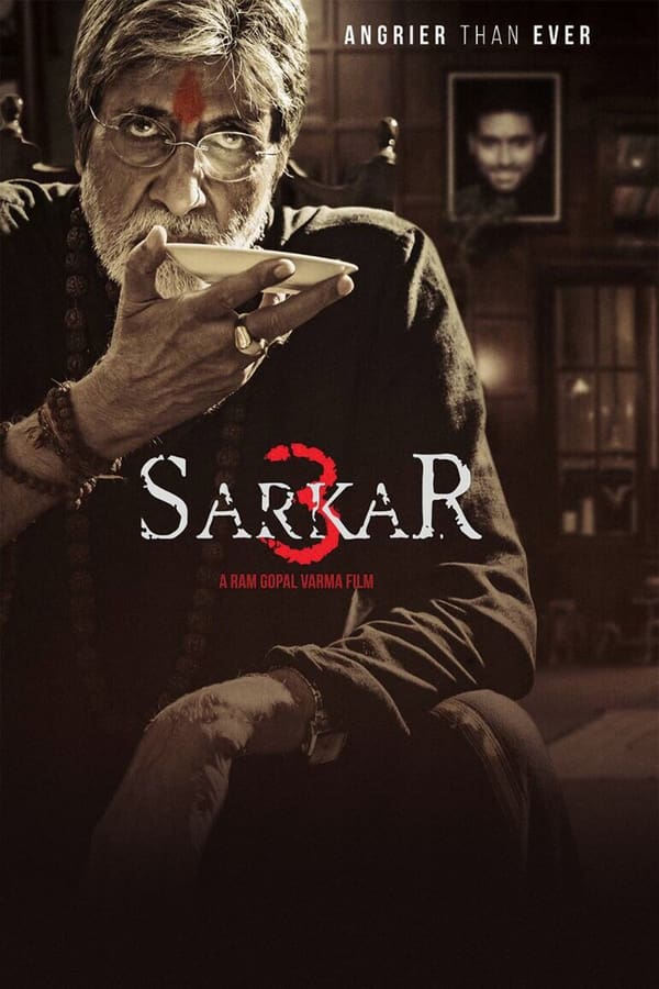 Sinopsis Lengkap Film Sarkar 3 (2017)