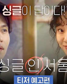 Sinopsis Film Single in Seoul (2023)