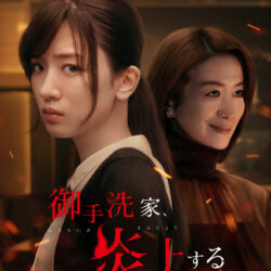 Sinopsis Burn the House Down (2023)