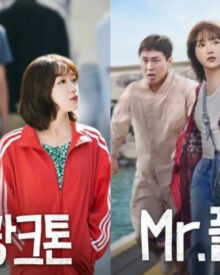 Review dan Sinopsis Mr. Plankton (2024)
