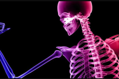 7 Makanan Super untuk Memperkuat Tulang dan Mencegah Osteoporosis: Panduan Nutrisi Seumur Hidup 7 7 Makanan Super untuk Memperkuat Tulang