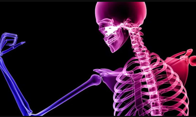 7 Makanan Super untuk Memperkuat Tulang dan Mencegah Osteoporosis: Panduan Nutrisi Seumur Hidup 1 7 Makanan Super untuk Memperkuat Tulang