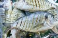 Manfaat Konsumsi Ikan Risiko Kanker Usus
