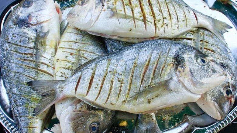 Manfaat Konsumsi Ikan Risiko Kanker Usus